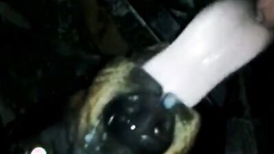 Zoo video: zoo sex new
