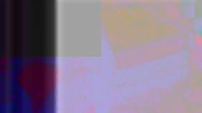 Zoo porn video: zoo dog cet sex