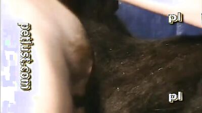 Dog sex: 3d zoo porn video
