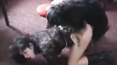 Dog girl: vulva dog porn