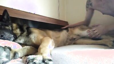 Bestiality sex id: zoo women porn