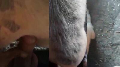 Animal porno: zoophilia porn zoo