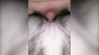 Art of zoo: porn bestiality moonlie
