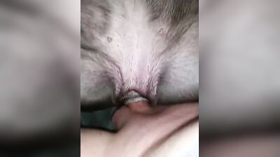 Art of zoo: porn bestiality moonlie