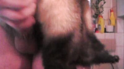 Zoo sex video: cartoon porn woman dog