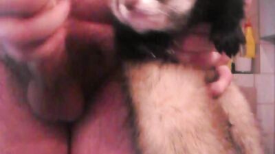 Zoo sex video: cartoon porn woman dog