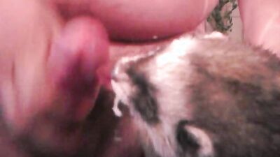 Zoo sex video: cartoon porn woman dog