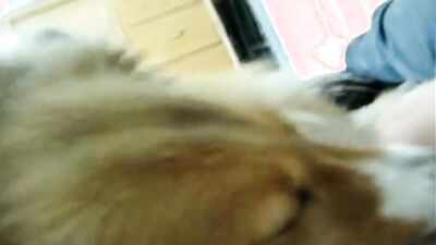 Teen zoo porn: zoophilia animal porn