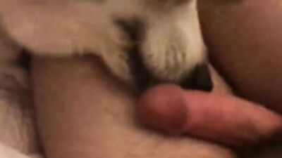Zoo porn man: porn got fucked by a dog
