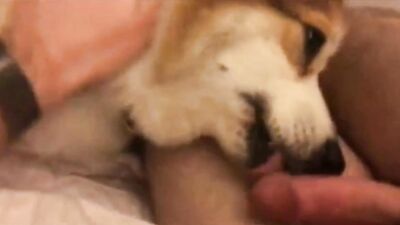 Zoo porn man: porn got fucked by a dog