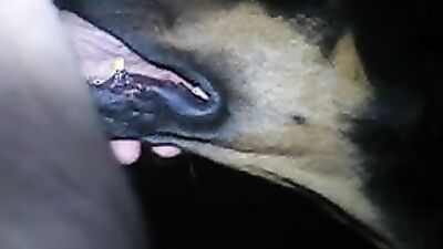 Girl having dog: animal sex dog video