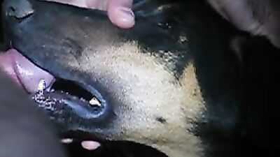 Girl having dog: animal sex dog video