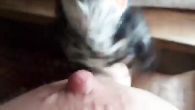 Bestiality hentai: zoophilia sex videos teen
