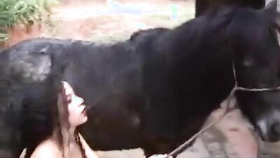 Animal porn: rule 34 zoophilia