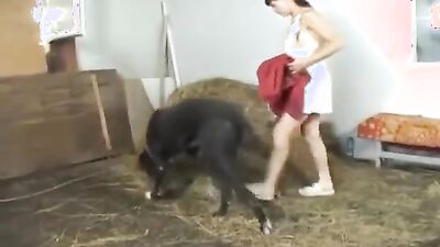 Zoo porn: bestiality porn vk