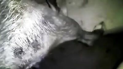 Dog lick girl: female dog meat toilet porn
