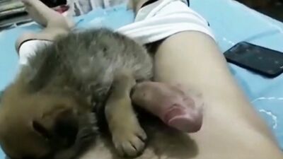 Dog girl porn: zoophile girl dog licking pussy