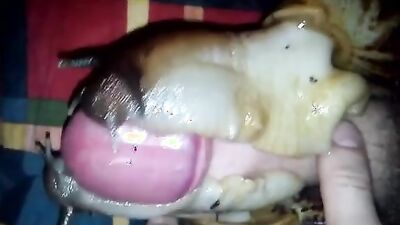 Bestiality horse: alone sex dogs