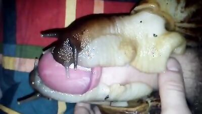 Bestiality horse: alone sex dogs