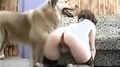 Bestiality video: animal sex scene