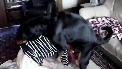 Dog girl anal: video veronica zoo