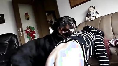 Dog girl anal: video veronica zoo