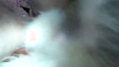 Bestiali comics: animal porn video gallery