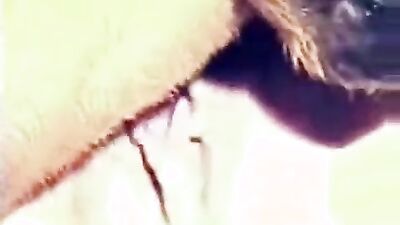 Women's dog sex: bestiality horse artofzoo