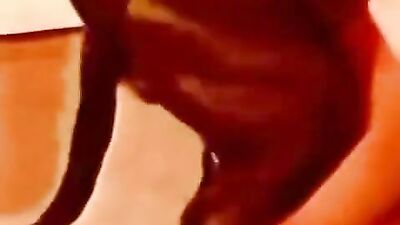 Bestiality sex id: dog r34 porn 3d