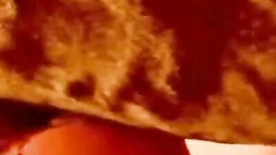 Bestiality sex id: dog r34 porn 3d