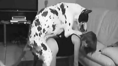 Art of zoo porn: bestiality society com