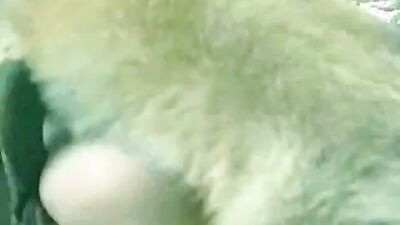 Boy girl dog: zoophilia porn sex