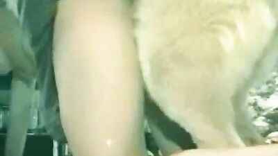 Boy girl dog: zoophilia porn sex