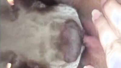 Gay zoo porn: teen zoo sex