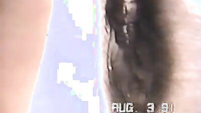 Zoo porn video: other bestiality