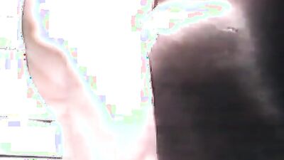 Zoo porn video: other bestiality