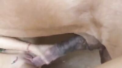 Art of zoo porn: zoo porn telegram groups