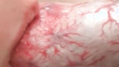 Bestiality dog: dog lick wife porn