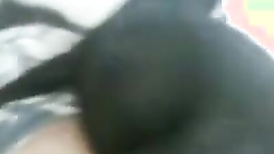 Dog sex porn: ungewollt bestiality sex