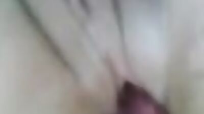 Dog sex porn: ungewollt bestiality sex