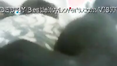 Dog sex porn: ungewollt bestiality sex