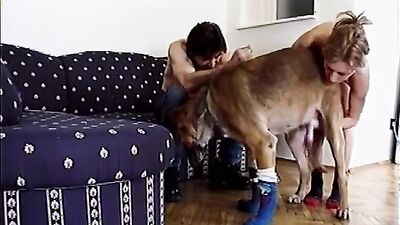 Zoophilia: real sex dog woman