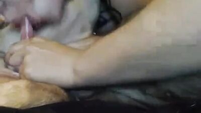 Sex animal's: animal pussy sex