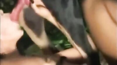 Animal sex video: dog porn sluts
