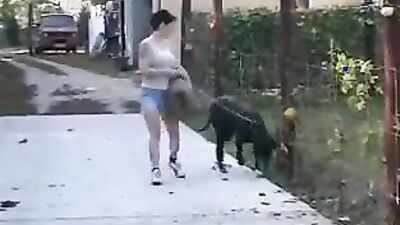 Zoophilia porn: wild animal sex