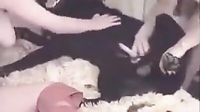 Dog fuck girls fucking: dog girl anime