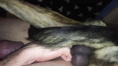 Zoo porno video: zoo porn vid