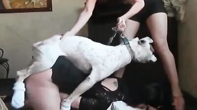 Bestiality video: zoo best videos