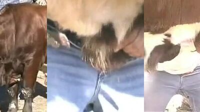 Animal sex porn: dog fuck girls sonya