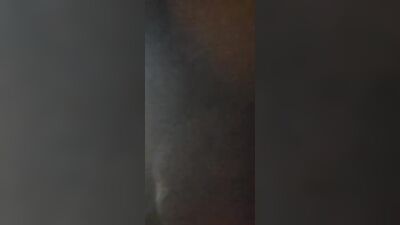 Dog get girl: kiss me again dog girl